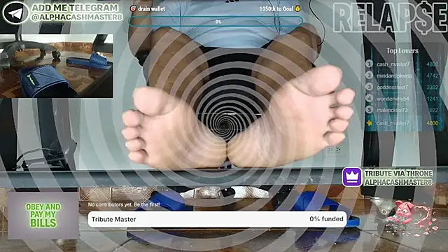 Show modela alphacashmaster8 na web-kameri