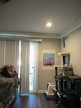 Pertunjukan Kamera Web ThicBunz