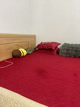 vietAnhzip's Webcam Show