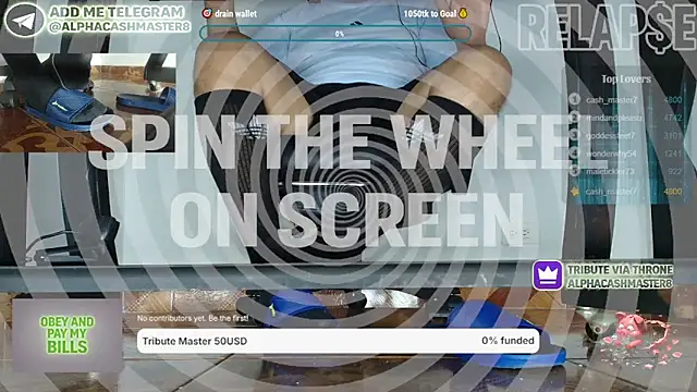 Show modela alphacashmaster8 na web-kameri