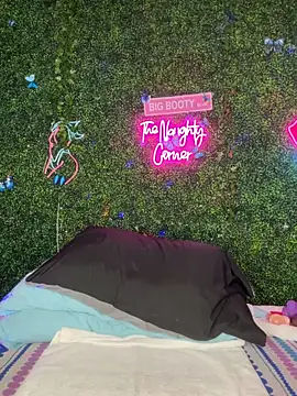 Show webcam de RenaThickAss