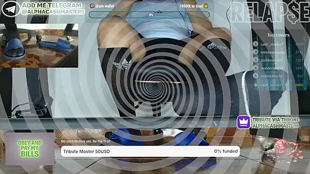 alphacashmaster8 webcam show