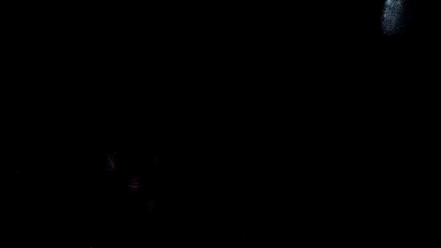 RawRyder8 webkamerás műsora