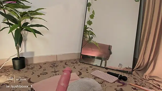 sushiboxxx Live XXX-Chat