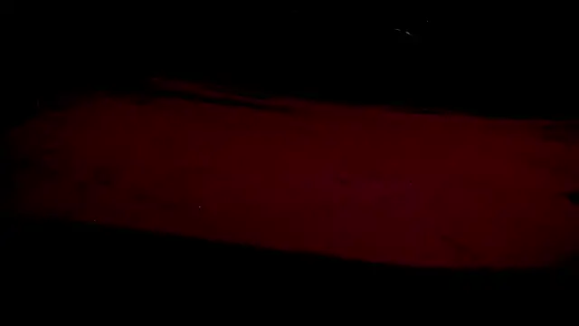 LiviaShy – Live XXX-chat