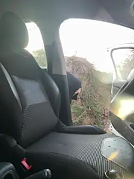 Amani_thewolf live XXX chat