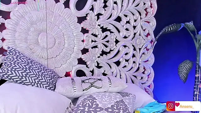 Anseru_ 现场XXX聊天