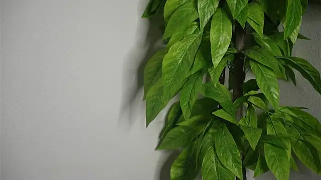 CaroylnPaiva 라이브 XXX 채팅