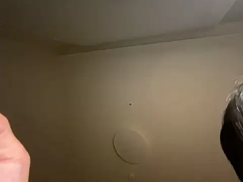 dvoiのウェブカメラショー