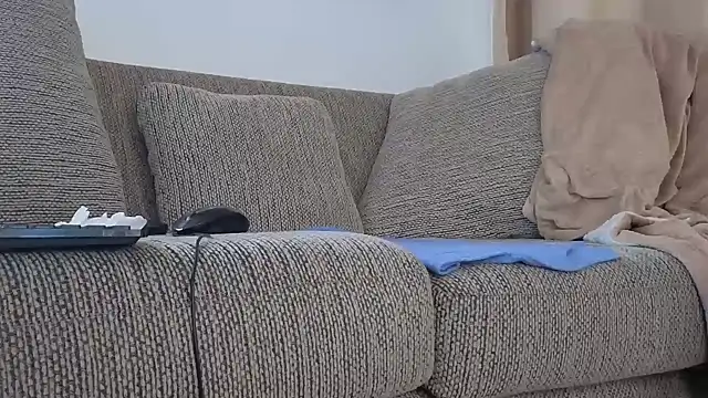 CDforU Pertunjukan Webcam