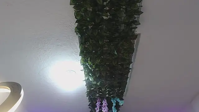 Živý XXX chat adara_cute_69