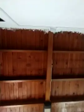 solpeichn Live XXX chat