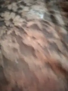 Chat XXX ao vivo de Luianna