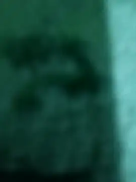 francheskaaaaaaaa22ot 웹캠 쇼