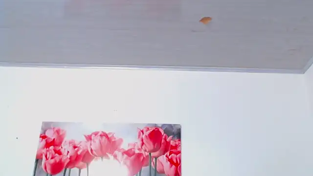 pinky_f00x Live XXX-Chat