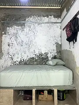 ikaro21 网络视讯表演