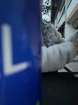 PamelaJonsom_ live XXX chat