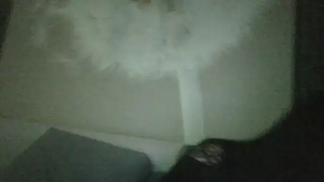 black_Vamp Live XXX-Chat