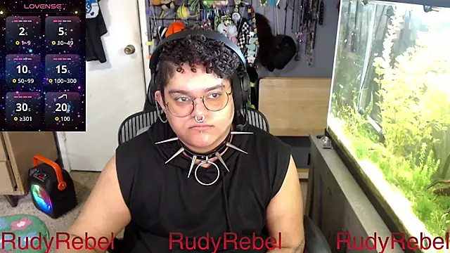 RudyRebel's Webcam Show