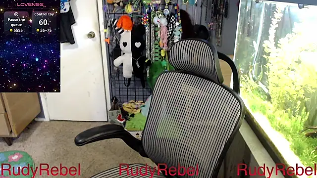 RudyRebel – Kamerová šou