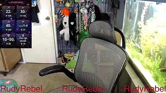 RudyRebel's Webcam Show