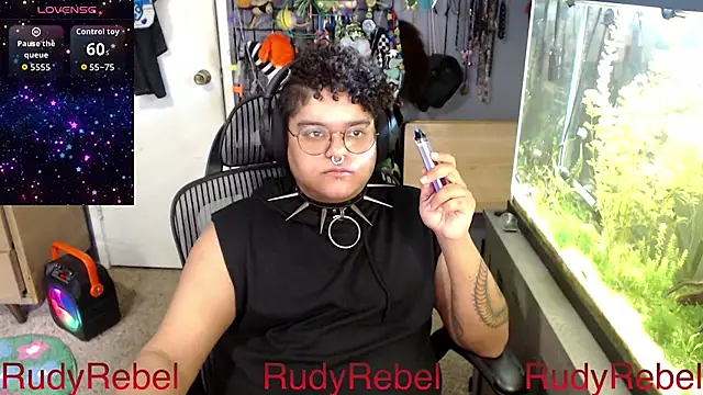 Show Webcam de RudyRebel