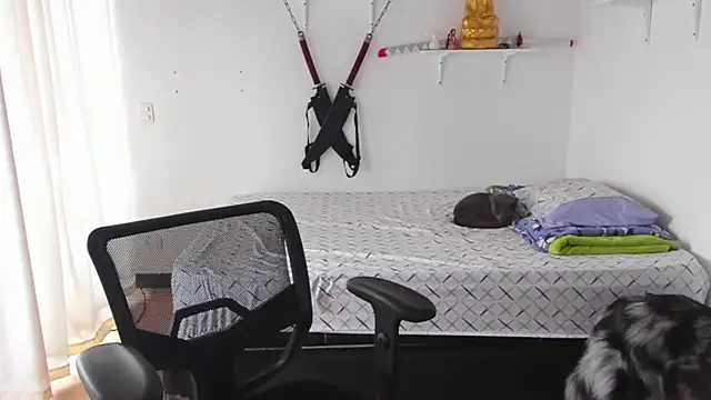 Your_Tao – Kamerová šou