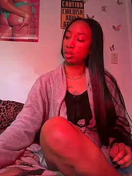 Show Webcam de LeBimbo