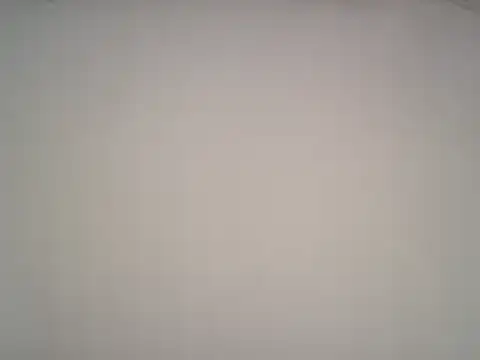 lattenjo 即時 XXX 聊天