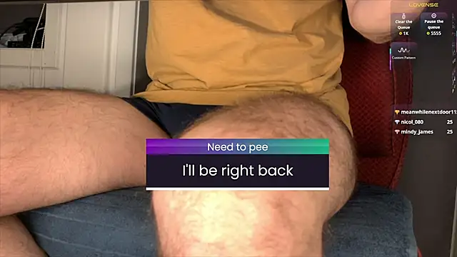 brsrkrのウェブカメラショー