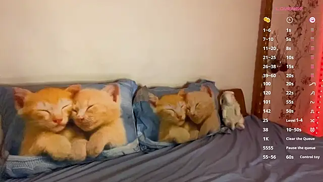 Chat XXX Live JanneAtop