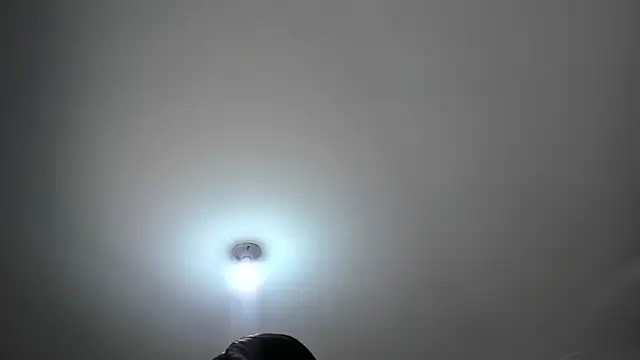 Chat +18 de AdaraCruz ao vivo