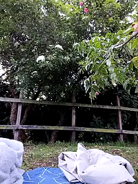 Layla-daring: απευθείας συνομιλία ΧΧΧ