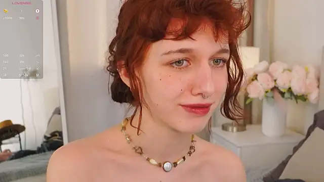 Show Webcam de LeelooYolo