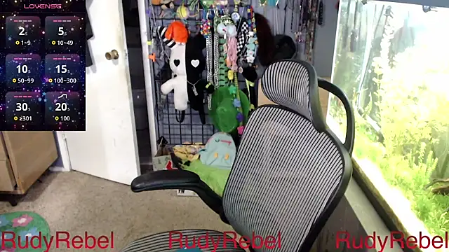 Show webcam de RudyRebel