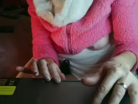 VeneRedのウェブカメラショー