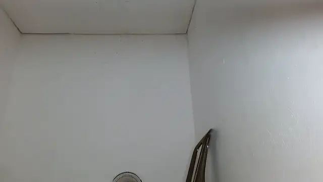 victoris élő XXX-chatje