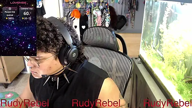 Show Webcam de RudyRebel