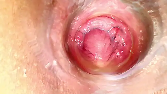 Show modela karol_kane na web-kameri