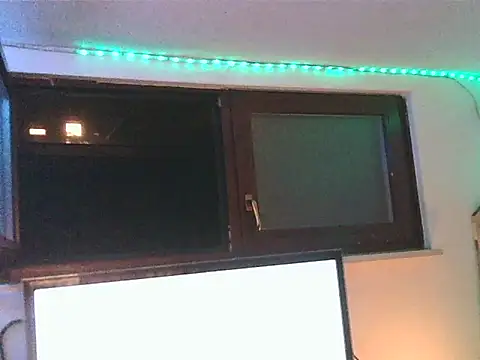 GrizzyLemmingのウェブカメラショー