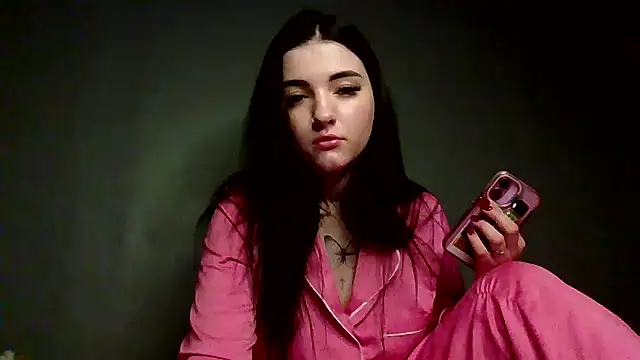 SoftModest Webcam-Show