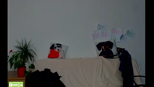 Show modela ZeinMiracles na web-kameri