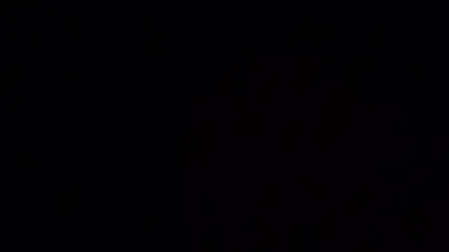 flowernnet élő XXX-chatje