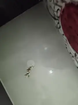 CharlotteKravizz Live XXX-chat