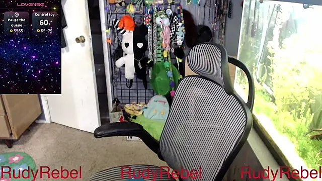 RudyRebel's Webcam Show