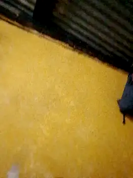 HornyAss_Bitch Obrolan Langsung XXX