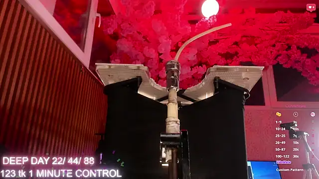 aliseparker2021 웹캠 쇼