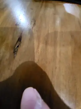 Shoeslut1: онлайн-секс-чат