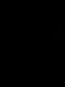 Show webcam de Io1994