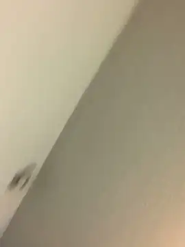 Show Webcam de asiamariiee